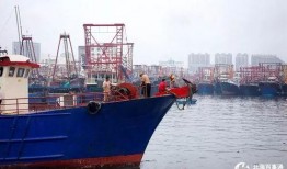 爆料渔船视频大全下载,视频大全带你领略海洋捕捞瞬间