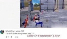 外国人爆料吃鸡视频,揭秘中国“吃鸡”游戏背后的真实场景